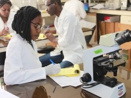 iciHaiti - Health : Fight against drug-resistant superbugs