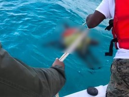 Haiti - FLASH : Toll rising at least 28 Haitians die drowned off the Bahamas (UPDATE)