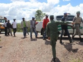 Haiti - DR : 69 Haitians arrested for cutting trees in Los Haitises National Park