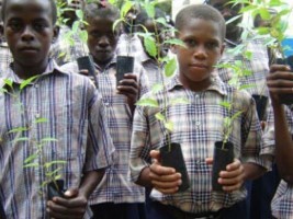 Haiti - Environment : Soon start of the reforestation project through schools