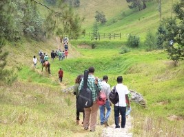 Haiti - Environment : The ecological reserve of Wynne Farm in the Kenscoff mountains declared protected area