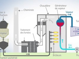 Haïti - Économie : Énergie et charbon de bois, la Diaspora a des projets pour le pays