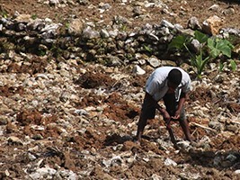 Haiti - Grand'Anse : One of the regions most affected by land degradation and deforestation