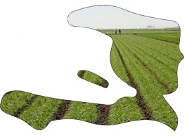 Haïti - Social : Contexte socio-économique incertain et campagne de printemps difficile