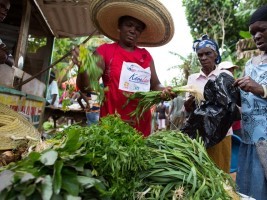 iciHaïti - Social : Fin du programme «Kore Lavi» de l’USAID