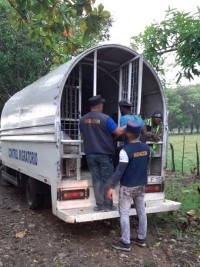 Haïti - RD : 9,014 haïtiens déportés ou refoulés en Haïti