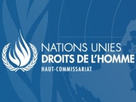 Haiti - Geneva : OHCHR deeply concerned by the crisis situation in Haiti