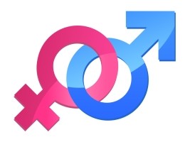Haiti - Politic : Gender equality some progress in the country, but challenges persist
