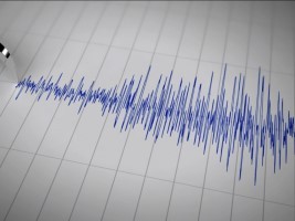 Haiti - FLASH : 75% increase in the number of earthquakes in February