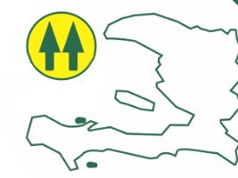 Haïti - Économie : TOP 3 des plus grandes caisses populaires en Haïti 