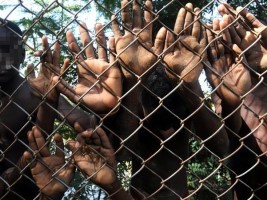 iciHaiti - Social : Haitian children trafficking at the border area