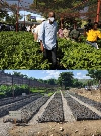 Haïti - Environnement : Inauguration du 4e Centre de propagation végétal