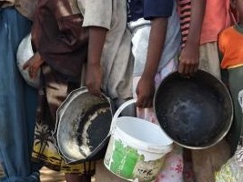 Haiti - Agriculture : The number of undernourished Haitians continues to increase in the country