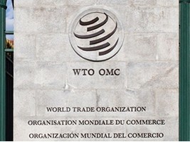 Haiti - DR : A complaint against Haiti could be lodged with the WTO