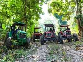 Haiti - Agriculture : The Ministry will support 8,000 producers in Nippes