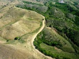 Haiti - Environment : Deforestation rate on the rise in the country...
