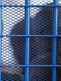 Haïti - Assassinat du Président : Les détenus colombiens se portent bien et sont en sécurité