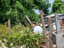 Haiti - Earthquake : Farmers need immediate investment