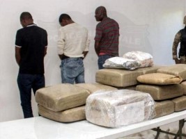 Haïti - Sécurité : 825 arrestations, saisie d’armes et de drogue (Bilan partiel septembre 2021)