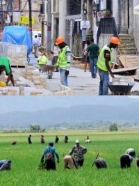 iciHaïti - RD : Des dizaines de milliers de travailleurs haïtiens en situation irrégulière risquent l’expulsion en janvier 2022