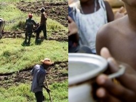 Haiti - Agriculture : Perspectives on food security (October 2021- May 2022)