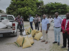 iciHaiti - Agriculture : Official launch of the 2021-2022 winter agricultural campaign