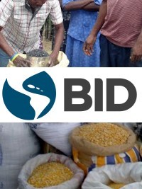 Haiti - IDB : Donation of US$60M to improve the agricultural productivity of rural households