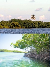 iciHaiti - Environment : Launch of the project «Conservation of Coastal and Marine Habitats»