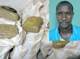 iciHaïti - Justice : Saisie de plus d’une tonne de marijuana, une arrestation