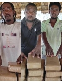 iciHaiti - PNH : 3 individuals arrested for possession and drug trafficking