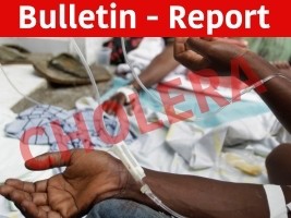 Haiti - Health : Cholera tests, positivity rate 17.3%