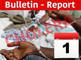 Haiti - Cholera : 6 departments affected, nearly 3,500 suspected cases and 89 deaths reported