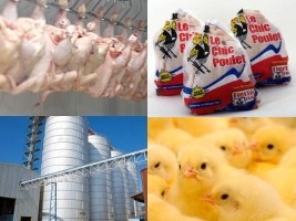 Haïti - FLASH Agro-Industrie : L’entreprise avicole Jamaica Broilers (Le Chic Poulet) quitte Haïti