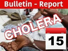 Haiti - Cholera : Daily bulletin #38