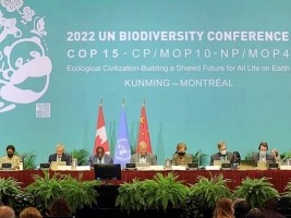 Haïti -  Montréal COP15 : Haïti plaide pour la conservation de la biodiversité