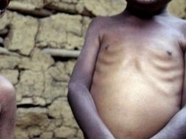Haiti - FLASH : The hour is serious, 19,000 Haitians affected by famine, 4.7 million in food insecurity