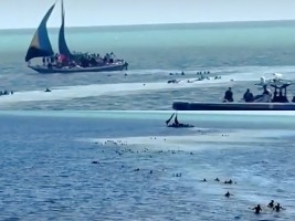 iciHaïti - Migrants : Un voilier transportant près de 200 haïtiens échoue près des côtes de Floride
