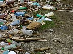 Haiti - Environment : Pollution of the Haitian environment, very worrying