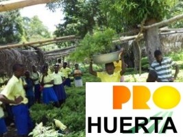 Haiti - ProHuerta : Argentina sends a mission to develop agroecological school gardens