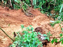 iciHaïti - Environnement : Pluies diluviennes, glissement de terrain «Dos Bois Rouge»