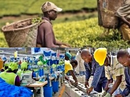 Haïti - 1er Mai : Hommage à nos agriculteurs et travailleurs (Vidéo, discours du P.M.)