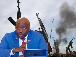 Haiti - OAS : Deterioration of the situation in Haiti (Statement Ambassador of Haiti)