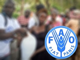 Haiti - FLASH : 1.8 million Haitians on the verge of starvation...