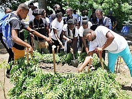 Haïti - Agriculture : Formation pratique sur la fabrication du compost biologique