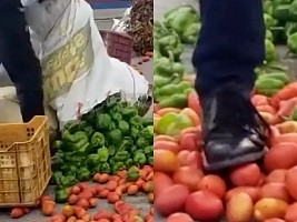 Haïti - FLASH : Des images déplorables et inacceptables (Vidéo)