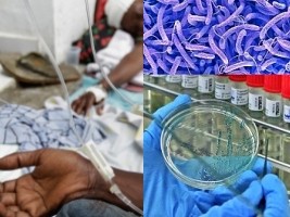 Haïti - Santé : Nécessité d’un corridor humanitaire pour les victimes de choléra