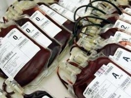 Haïti - Croix-Rouge Haïtienne : Aucune implication dans la gestion du sang