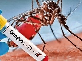 iciHaïti - Dengue : 729 cas confirmés (Novembre 2023)