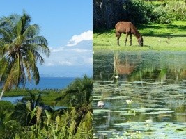 iciHaiti - France : Discover the Haitian Biodiversity Fund