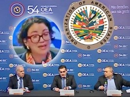 Haïti - FLASH : L’OEA adopte une résolution en faveur d’Haïti (Vidéo)